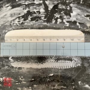 Auntie Emilys Kitchen-Crystal Shrimp Dumplings Step 13-1