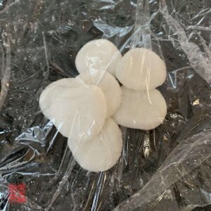 Auntie Emilys Kitchen-Crystal Shrimp Dumplings Step 13-2