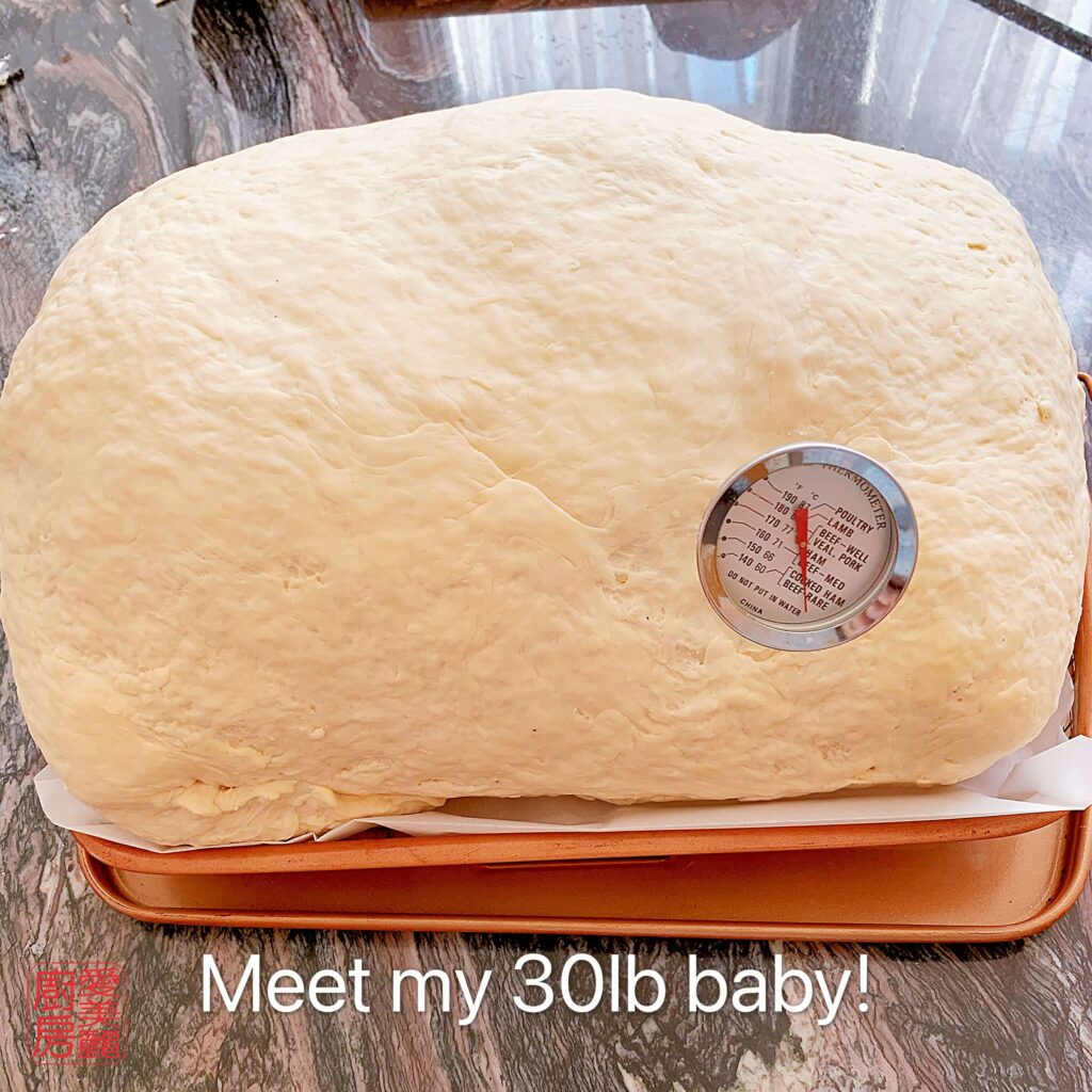 Auntie Emilys Kitchen-Beggars Turkey-Post7