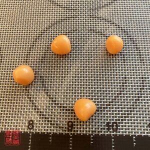 Auntie Emilys Kitchen-Snowy Mooncake-Fish-Step7
