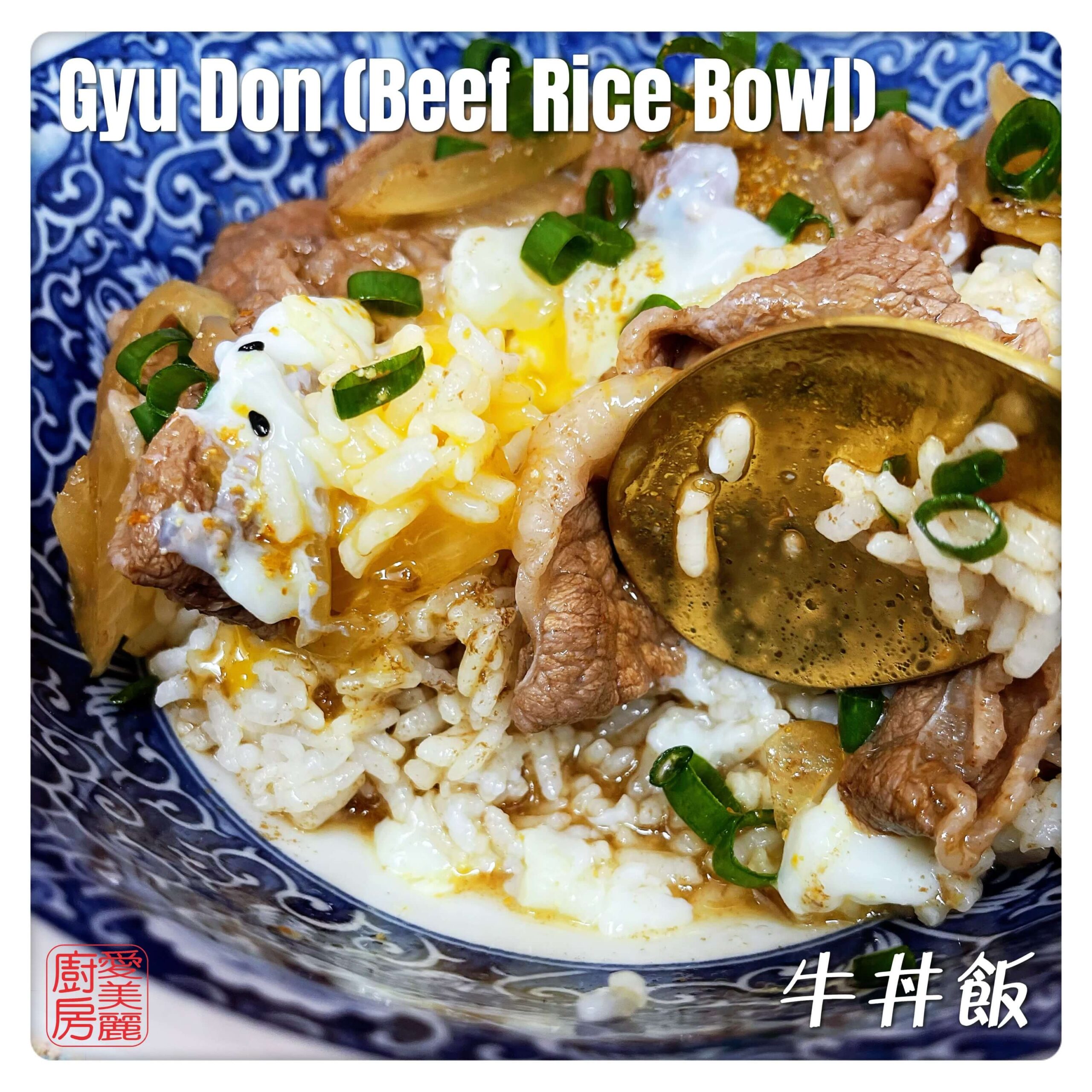 Auntie Emilys Kitchen-Gyu Don 4