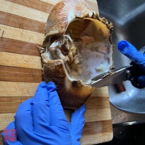 Auntie Emilys Kitchen-Typhoon Shelter Fried Crab-Step 10
