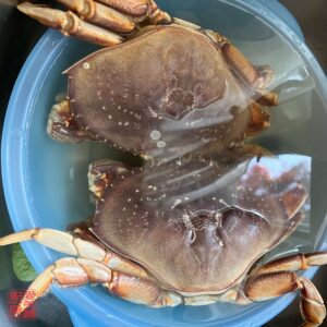 Auntie Emilys Kitchen-Typhoon Shelter Fried Crab-Step 2